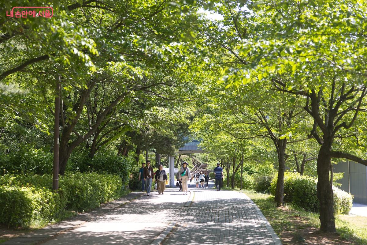 최근 북서울꿈의숲 동편 방향으로 가족나들이를 가야 할 이유가 생겼다