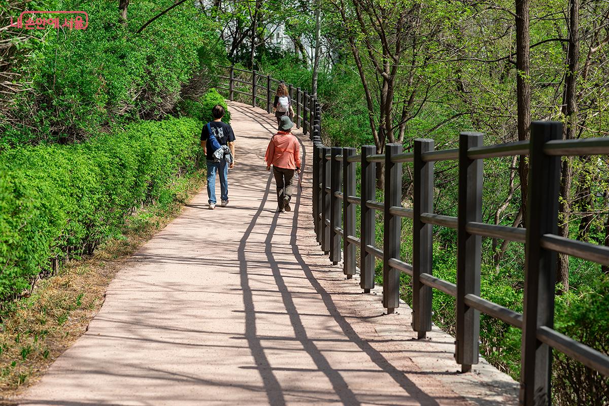 산을 오르고 숲을 거닐기에 좋은 계절이 돌아왔다. &copy;문청야