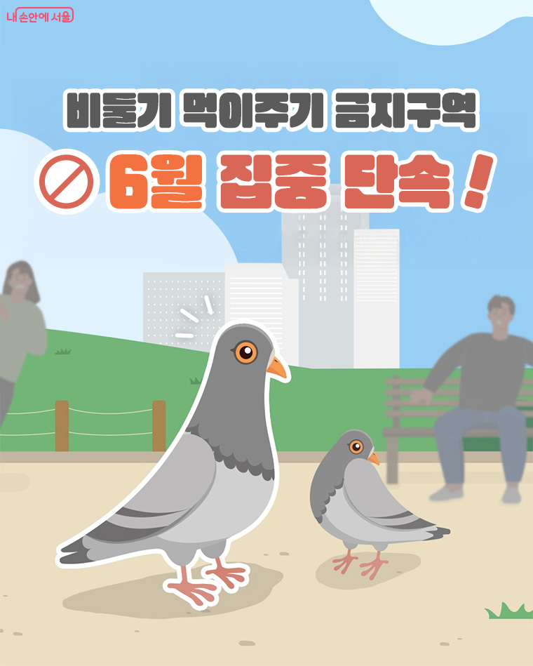왜 비둘기에게 먹이를 주면 안되나요?