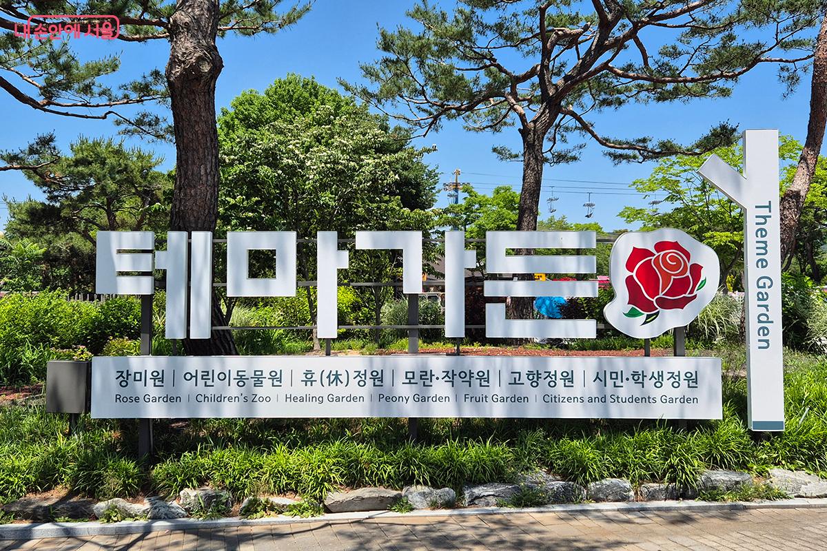 4만 5,000주의 장미와 새롭게 단장한 초록빛 잔디광장이 우리를 기다리고 있다.