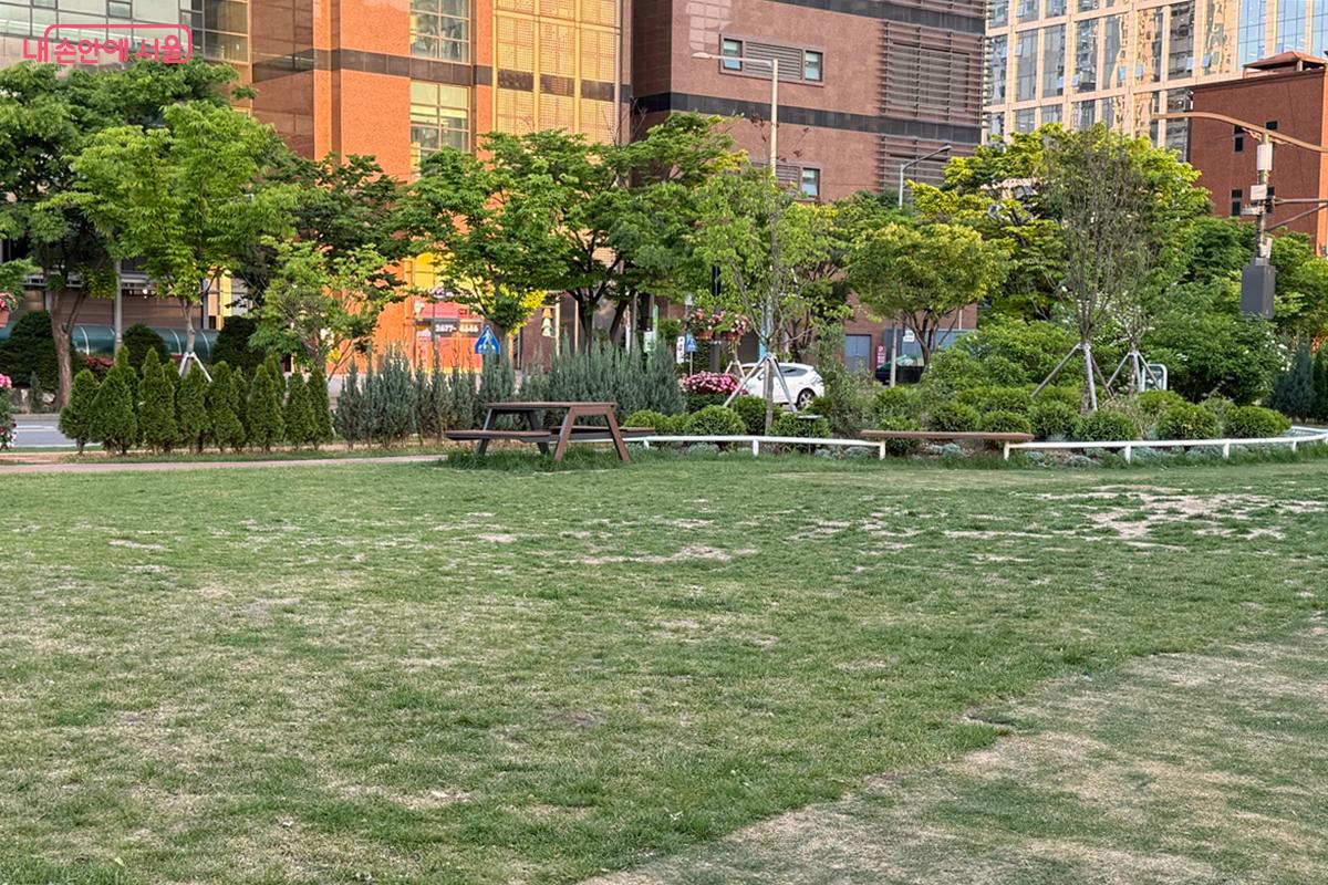 잘 관리된 잔디밭 ⓒ임윤아