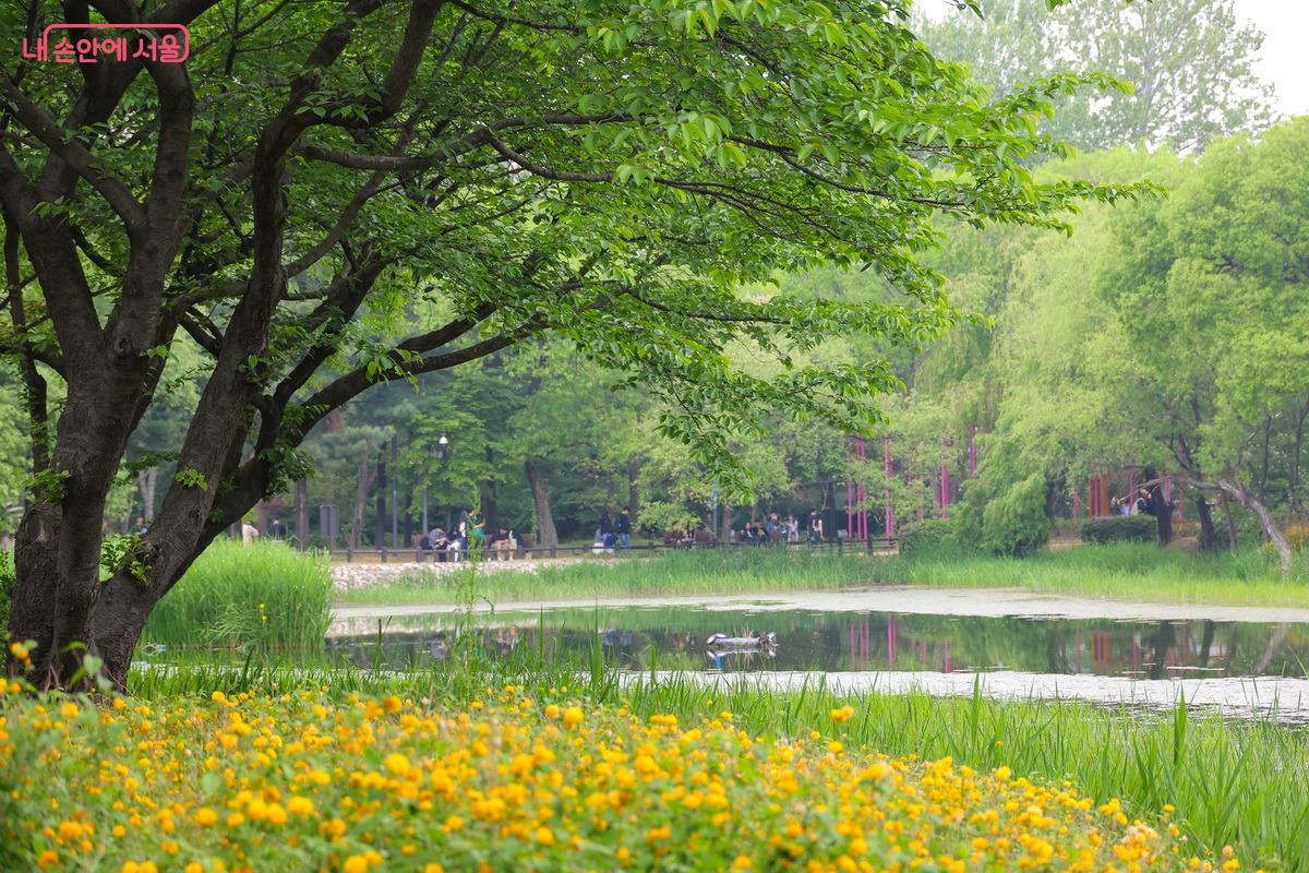 호수를 배경으로 많은 시민들이 5월의 정원을 즐기고 있다. ©박성환
