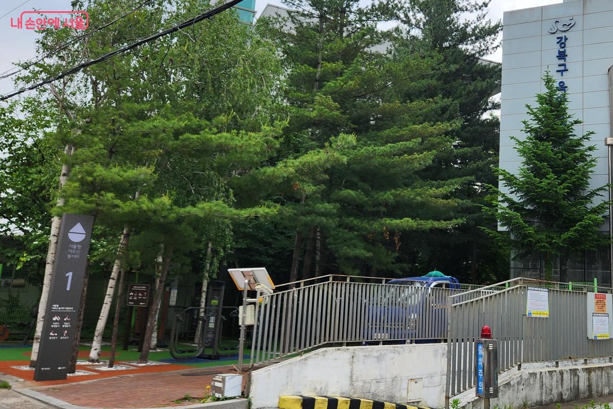 마치 숲에 온 듯 나무가 울창하다. &copy;김미선