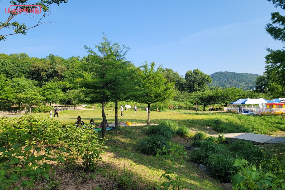 시민들이 각자의 방식으로 여유로운 시간을 보내고 있다.  &copy;조연
