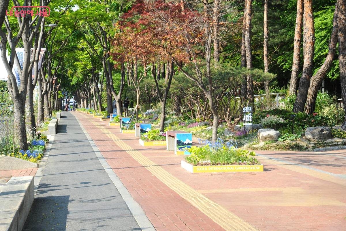 윤영주 작 &lsquo;윤슬의 숲 정원&rsquo; ⓒ조수봉