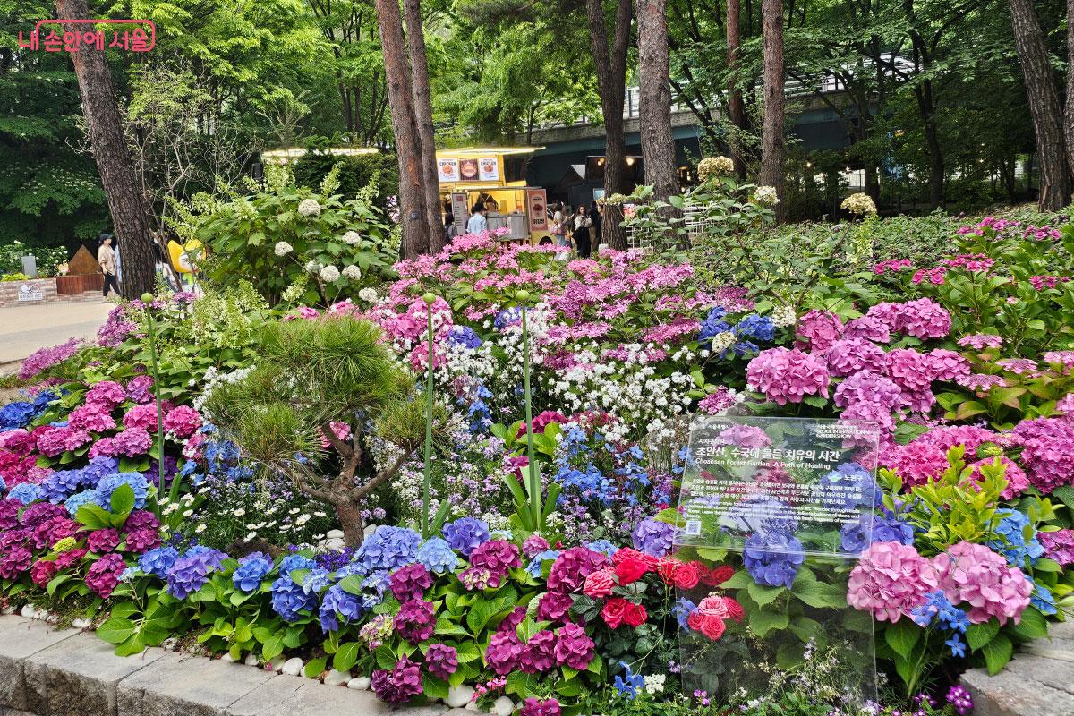 초안산을 모티브로 한 노원구의 정원  