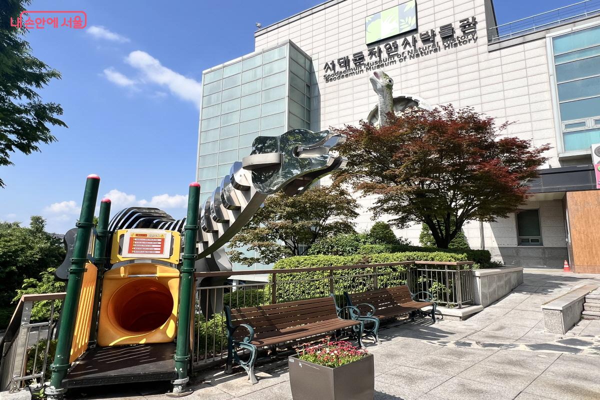 박물관 마당과 연결된 곳에서 공룡 미끄럼틀을 자유롭게 탈 수 있다. &copy;박지영