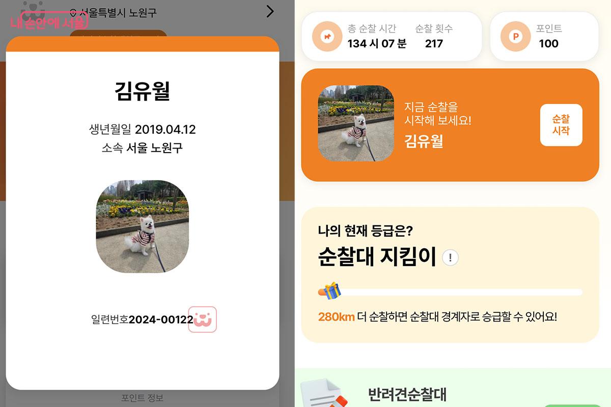 누적 순찰 134시간, 217회를 달성한, 우리집 반려견의 자랑스러운 순찰대 활동 기록 &copy;이다현