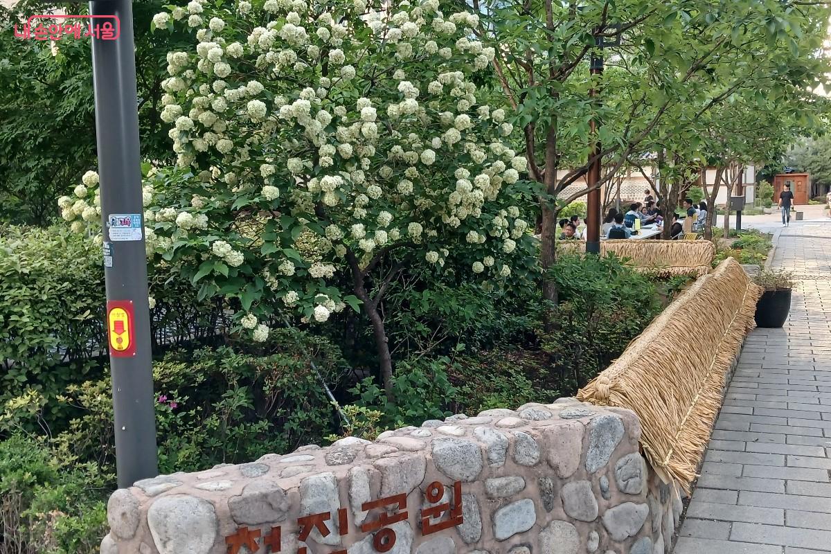 청진공원 산책로