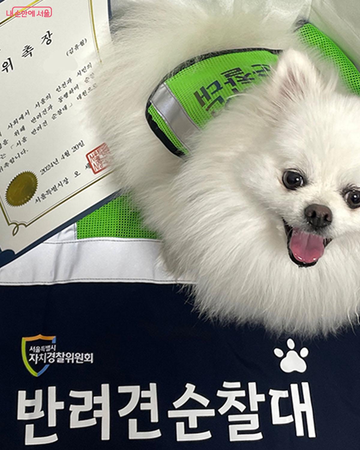 2년 전, 서울시 반려견 순찰대로 위촉되며 받았던 위촉장 및 활동품 &copy;이다현
