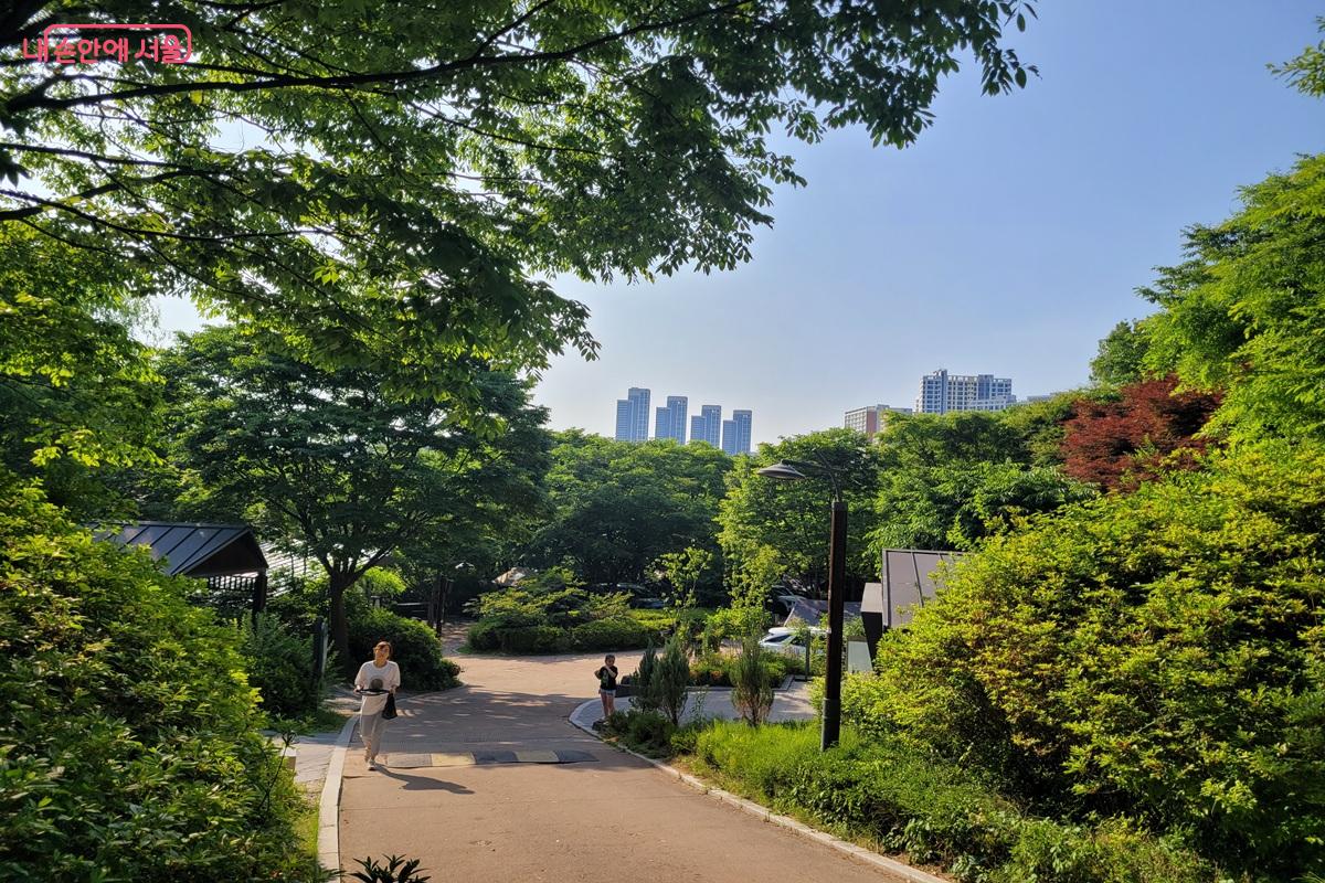 숲길 너머로 서울 도심 아파트가 보이는 중랑가족캠핑장 산책로 풍경 &copy;조연
