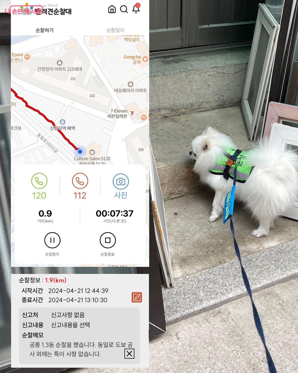 전용 앱으로 동선을 기록하며 동네를 구석구석 살펴볼 수 있었다. &copy;이다현