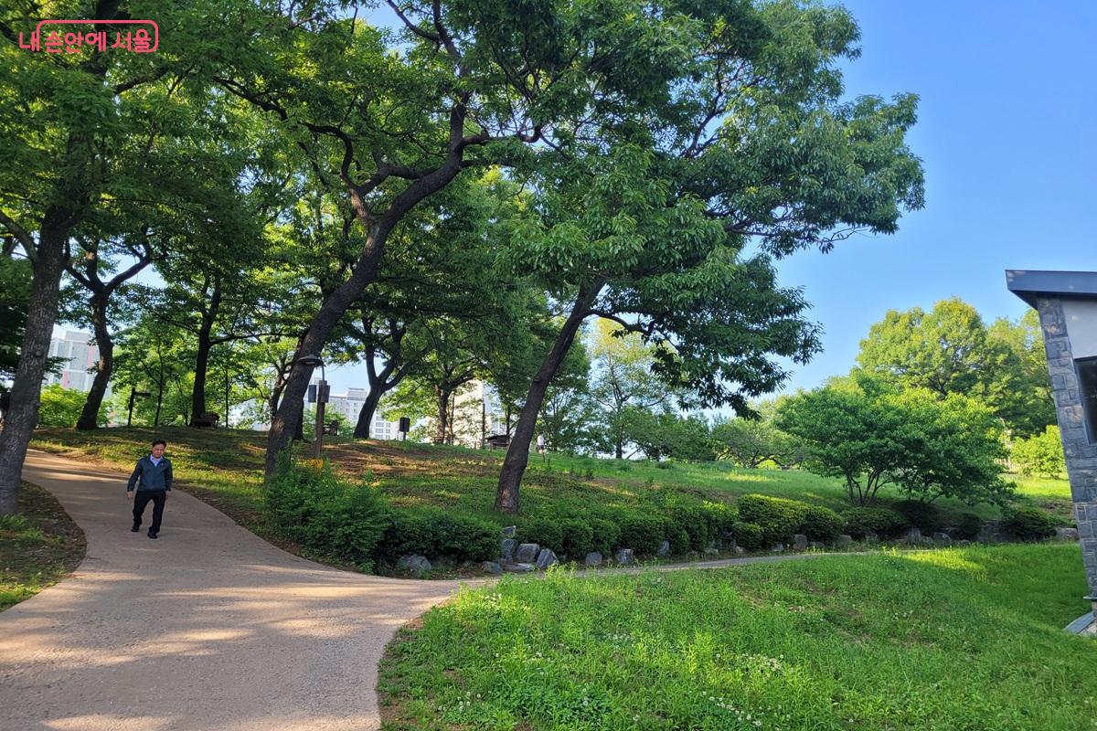 나무 사이로 이어지는 중랑가족캠핑장 숲길 산책로 &copy;조연