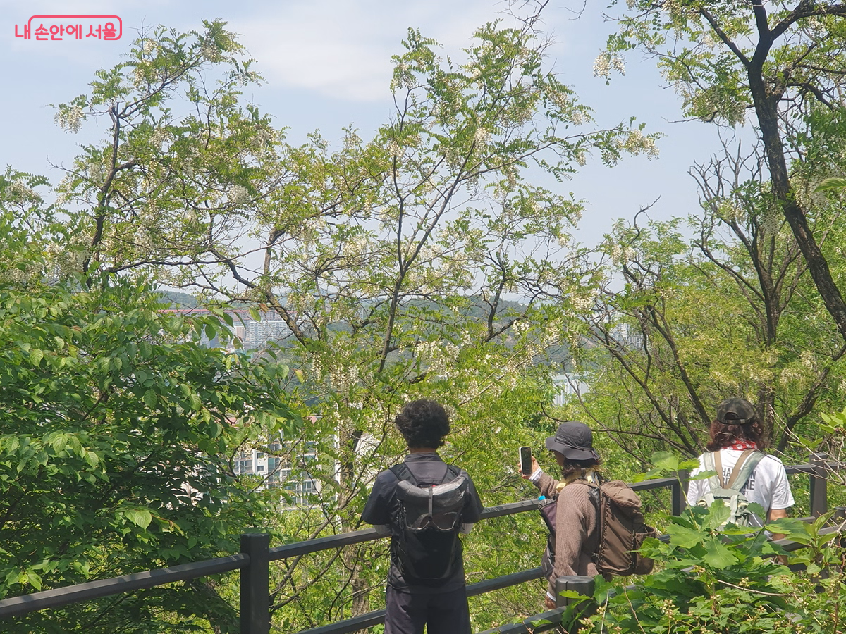 아까시 꽃 앞에서 기념사진을 담고 있는 탐방객들 &copy;김병규