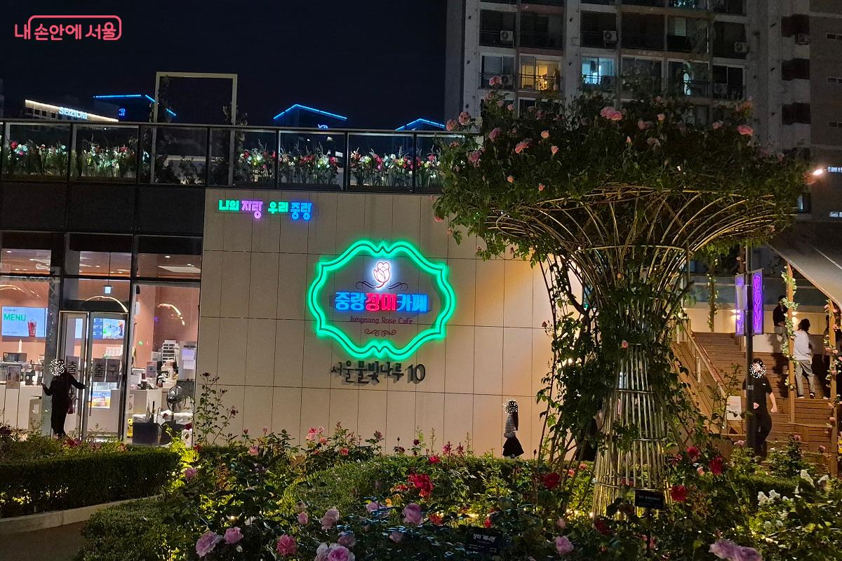 수많은 야간 장미들 사이로 묵동천 수변활력거점으로 조성된 장미카페를 만날 수 있다.