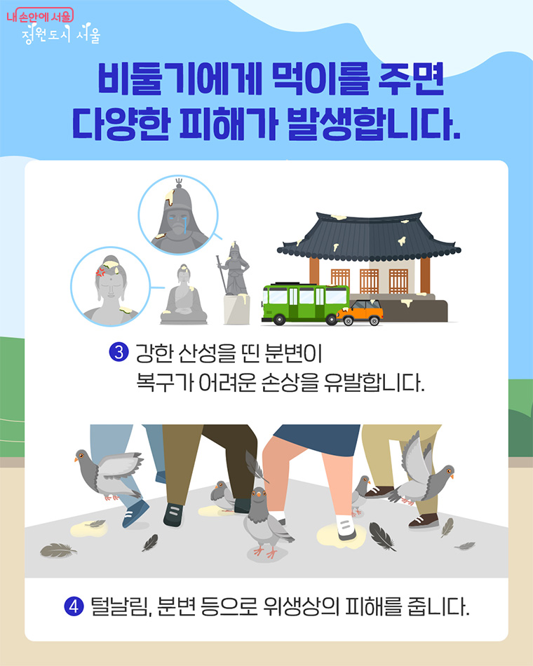 비둘기에게 먹이를 주면 다양한 피해가 발생합니다.