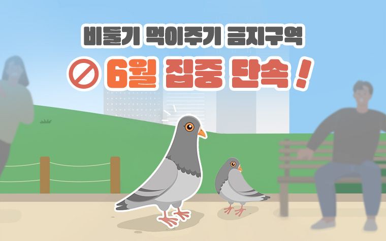 비둘기 먹이주면 과태료! 6월 집중단속&hellip;금지구역은?