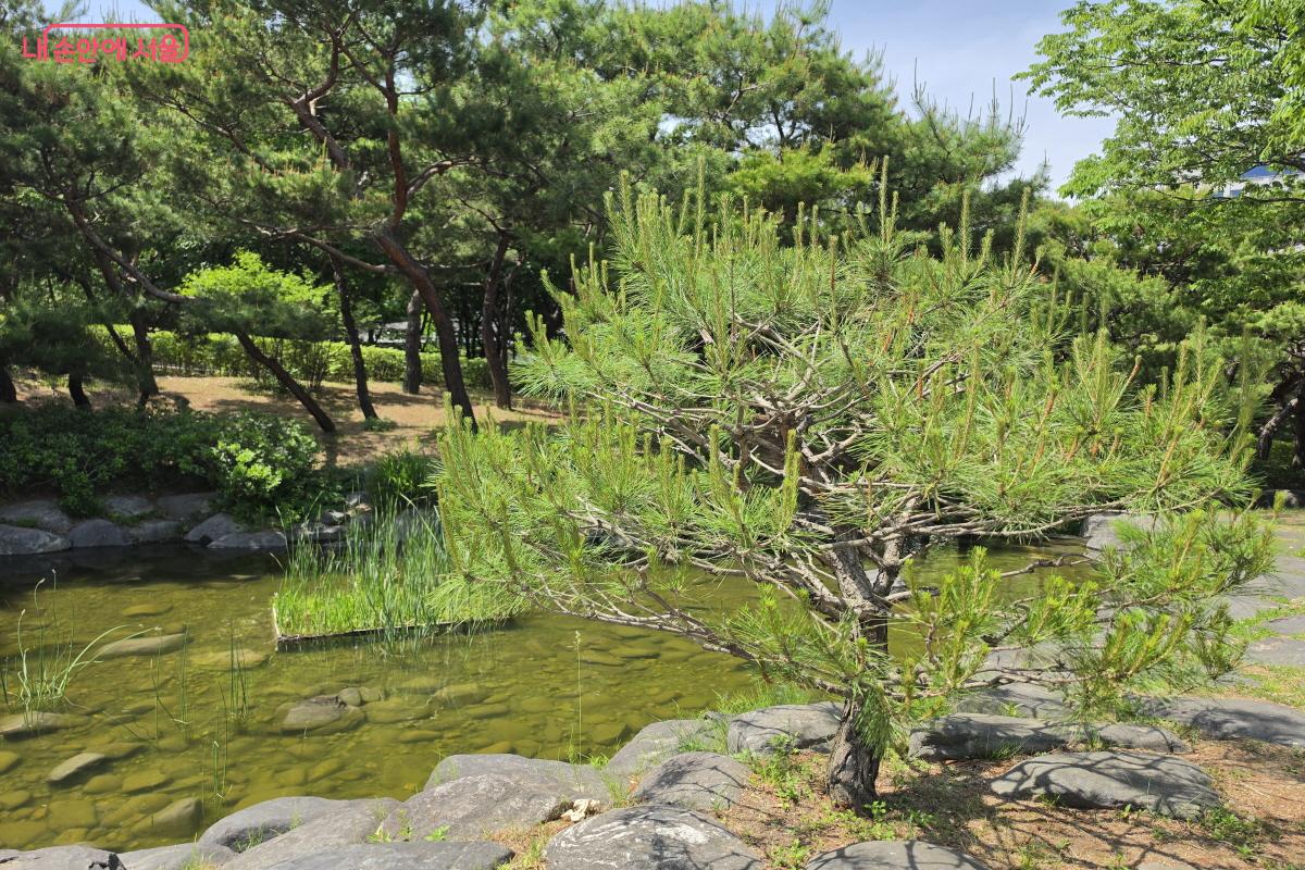 5월, 남산골한옥마을의 푸른 녹음이 가득했다.