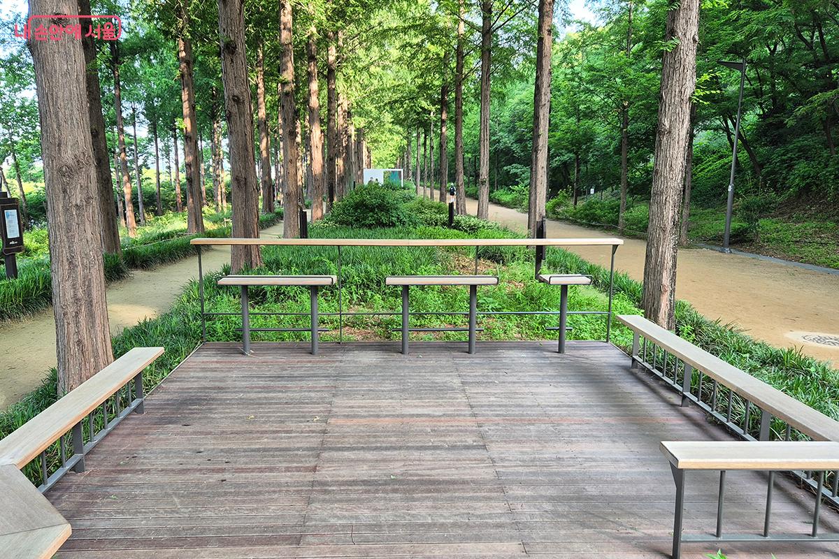 하늘공원 메타세쿼이아길에 조성된 산책로와 휴식공간