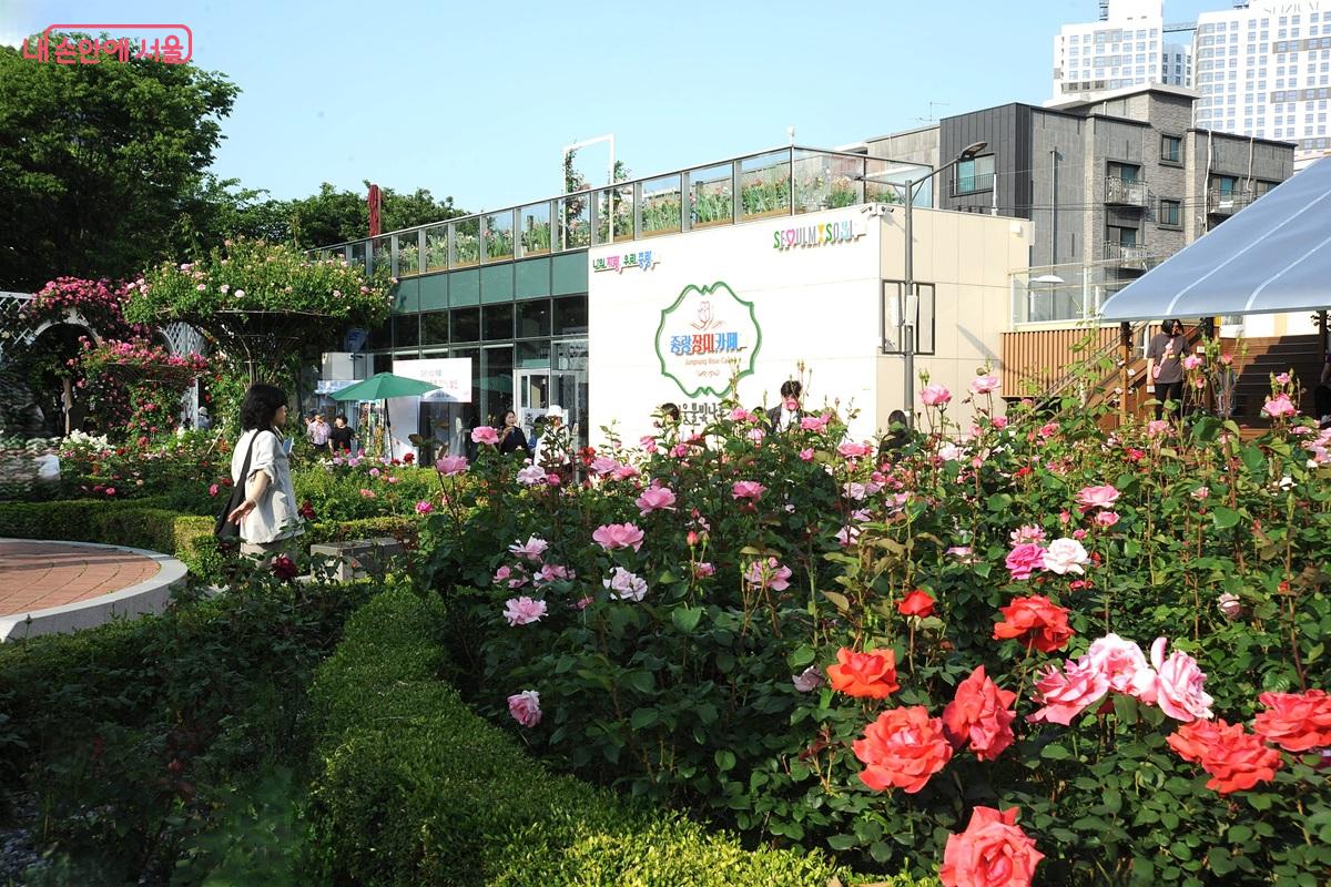중랑장미공원과 제10호 수변활력거점인 중랑장미카페 &copy;조수봉