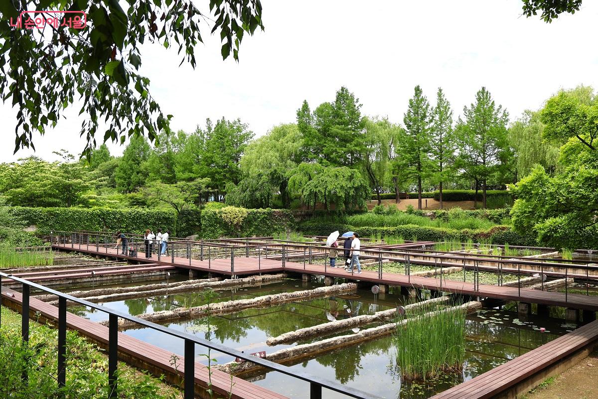 옛 정수지가 변신한 수질정화원 &copy;이봉덕 