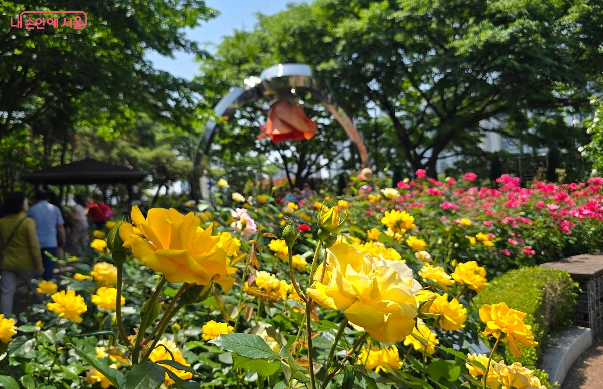 다양한 색깔의 장미와 조형물이 있는 중랑 서울장미축제 &copy;조성희