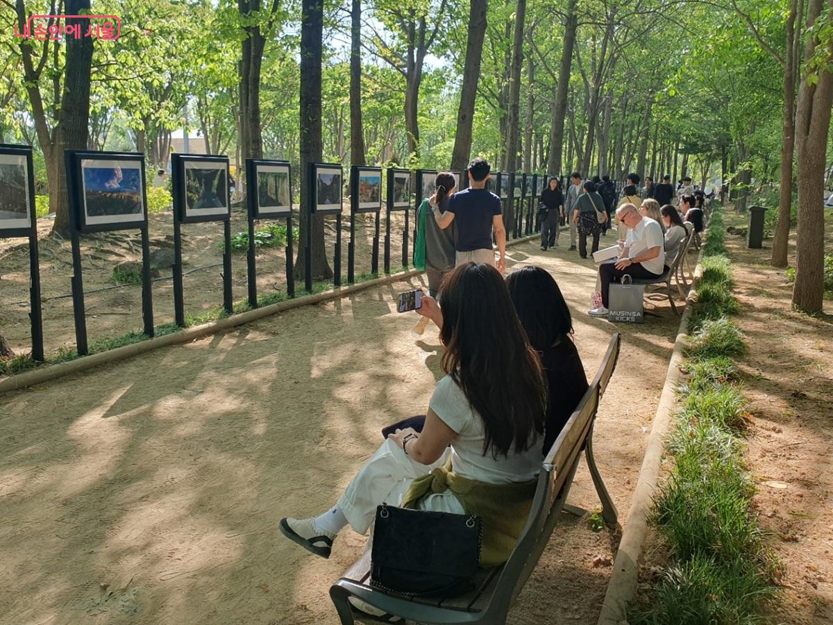 숲그늘 명소 공원사진 전시회 &copy;김병규