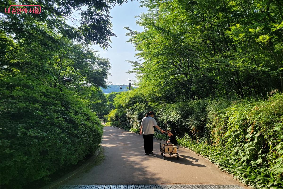 숲길을 천천히 걸으며 도심 속 여유를 즐기고 있다. &copy;조연