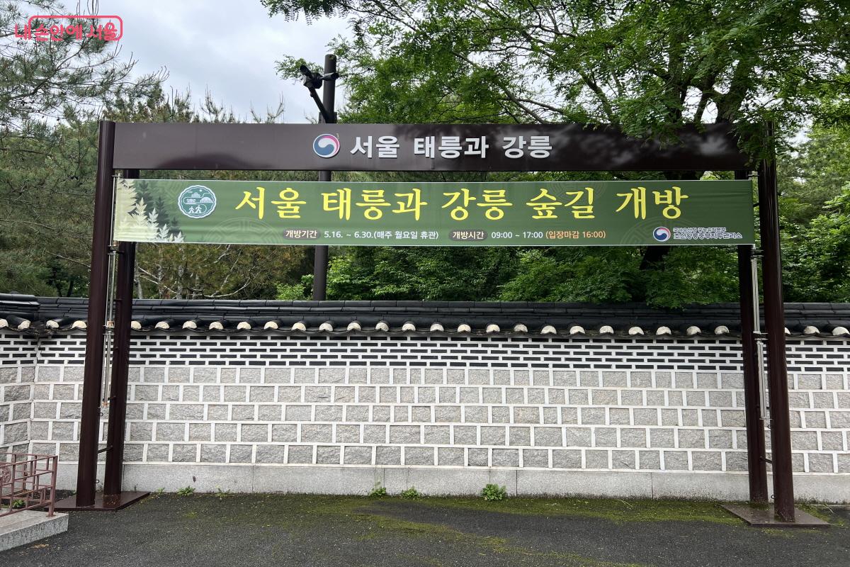 6월 30일까지 서울 태릉과 강릉을 비롯한 조선왕릉 숲길을 개방한다. &copy;박지영