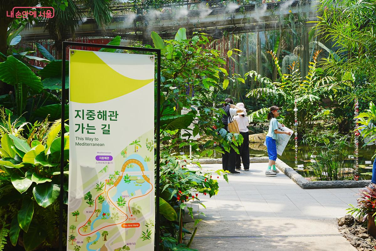 열대 우림처럼 무성한 초록 식물들과 연못 사이로 지중해관 가는 길을 안내하는 노란색 배너가 세워져 있는 풍경