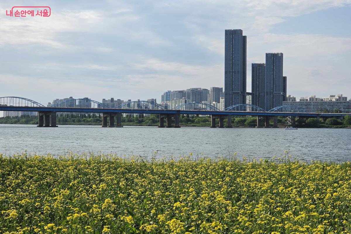서래섬에서 바라본 용산 일대 &copy;조송연