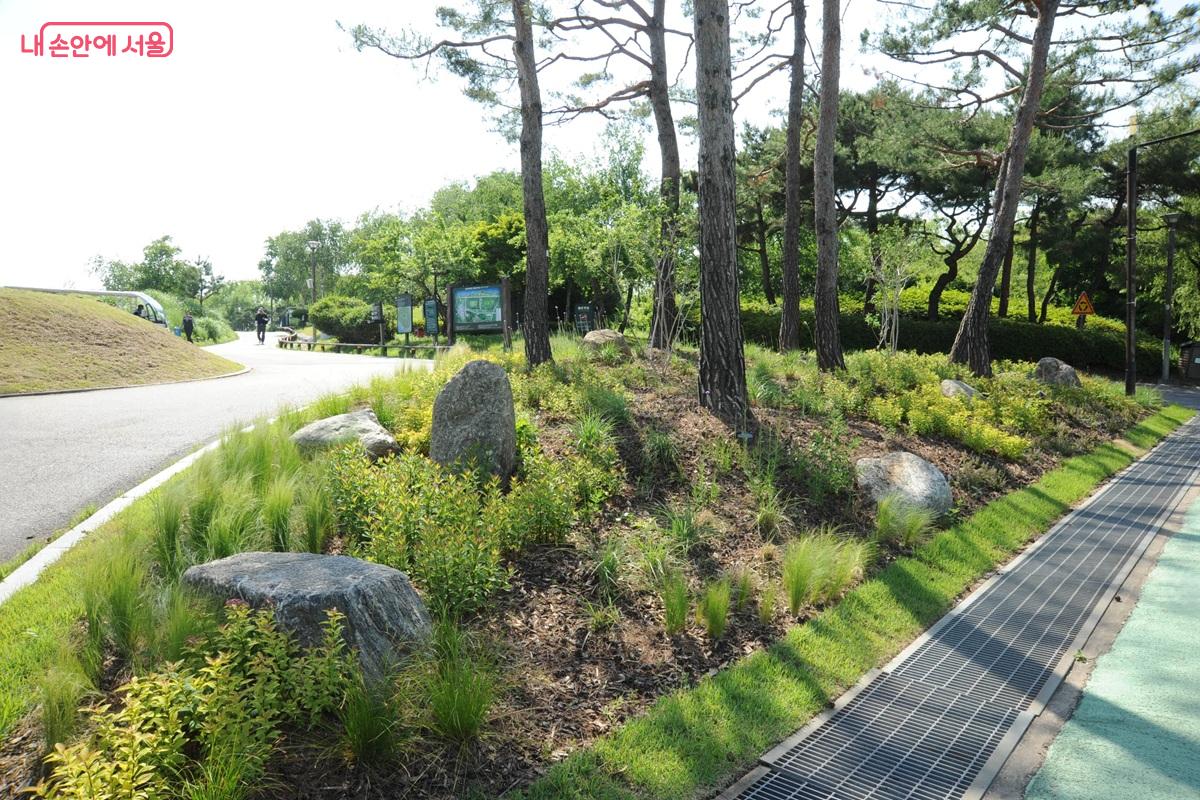 노을공원에도 순환 산책로를 따라 선형정원이 조성 중이다. ⓒ조수봉