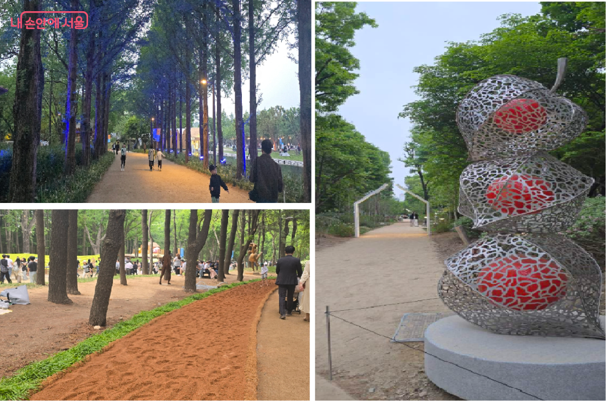 걷고 싶은 길, 걸어야 볼 수 있는 숲 &copy;최윤정