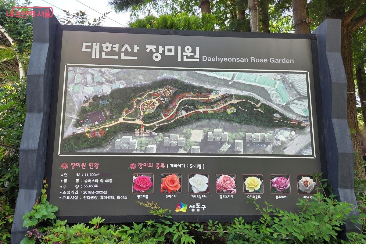 방치되었던 유휴공간을 활용해 도심 속 힐링 명소를 조성했다. &copy;김미선