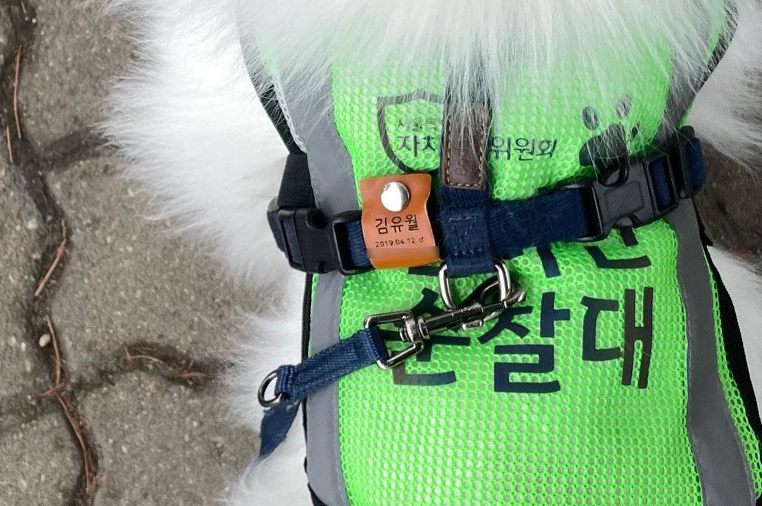 반려견과 함께하는 특별한 봉사, '반려견 순찰대' 모집 중!