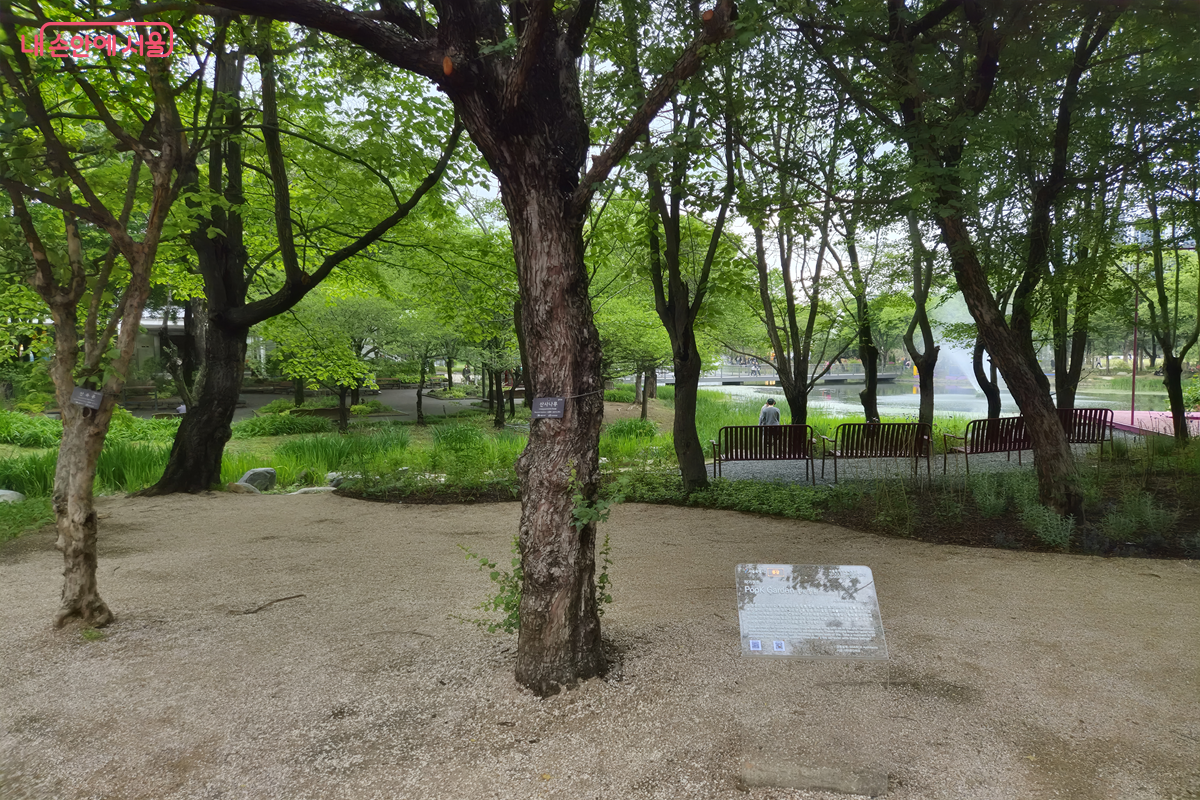 Alessandro Trivelli 작가의 &lsquo;PopK Garden&rsquo; 정원에서는 감각적인 구조미가 느껴진다. ⓒ최현우