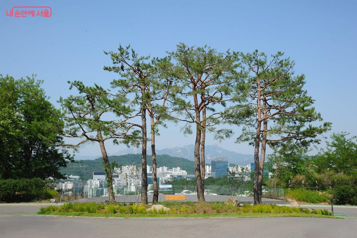 아름다운 정원이 조성된 노을공원 북측 전망대 ⓒ조수봉