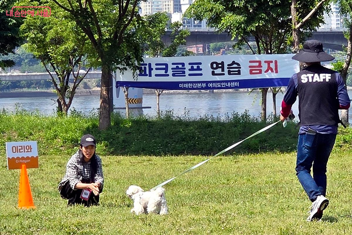 “이리 와” 하자 주인에게 뛰어오는 강아지 ©김윤경