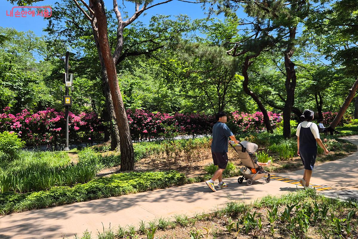장미원 옆에 새롭게 조성된 '사계절 매력정원'을 걷고 있는 시민들의 모습