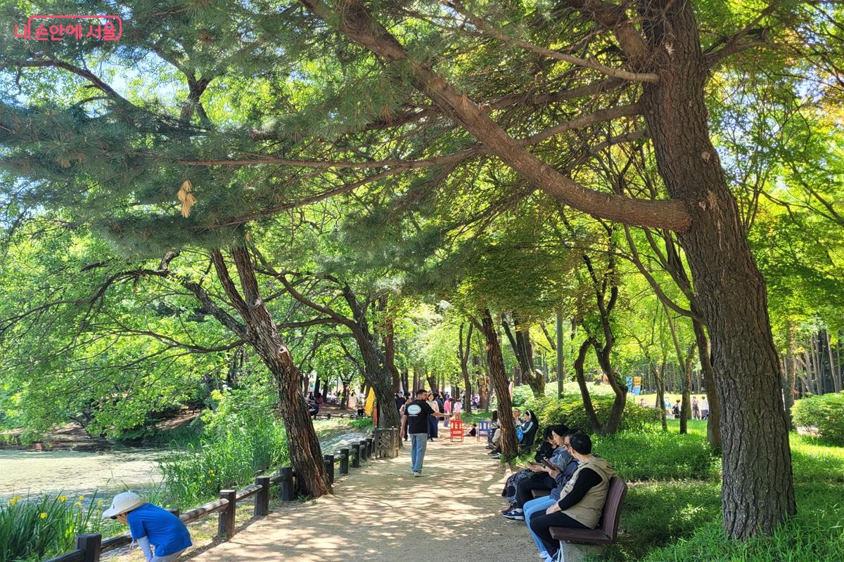 서울숲 산책로에서 시민들이 나무 그늘 아래 벤치에 앉아 휴식을 취하고 있다. ©조연