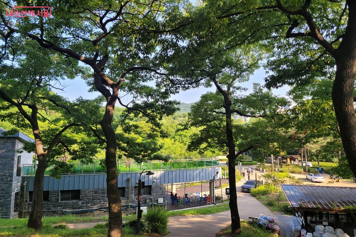 중랑가족캠핑장은 울창한 숲과 산책로, 캠핑 공간이 잘 어우러져 있다. &copy;조연
