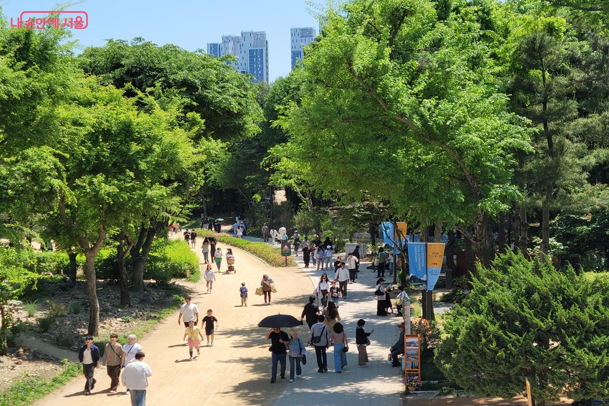 서울숲의 산책로를 따라 시민들과 가족 단위 관람객들이 걷고 있다. &copy;조연
