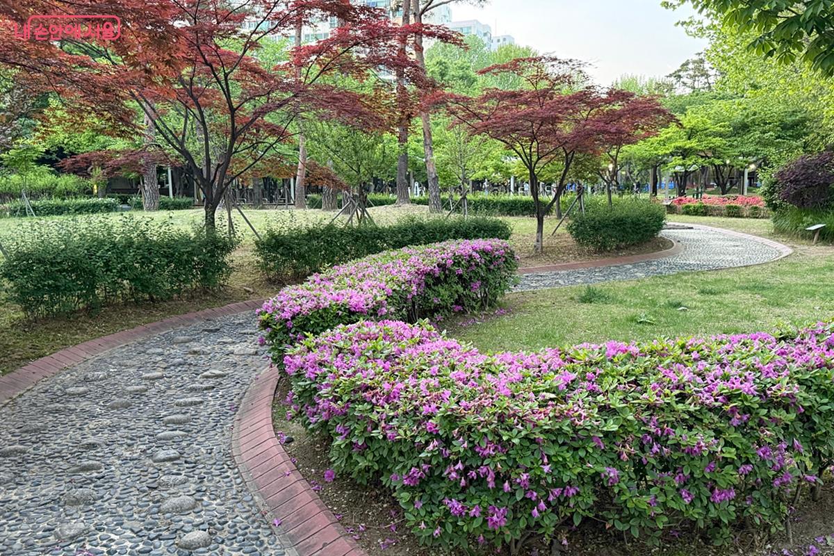 지압길을 둘러싼 나무와 꽃들 ⓒ임윤아