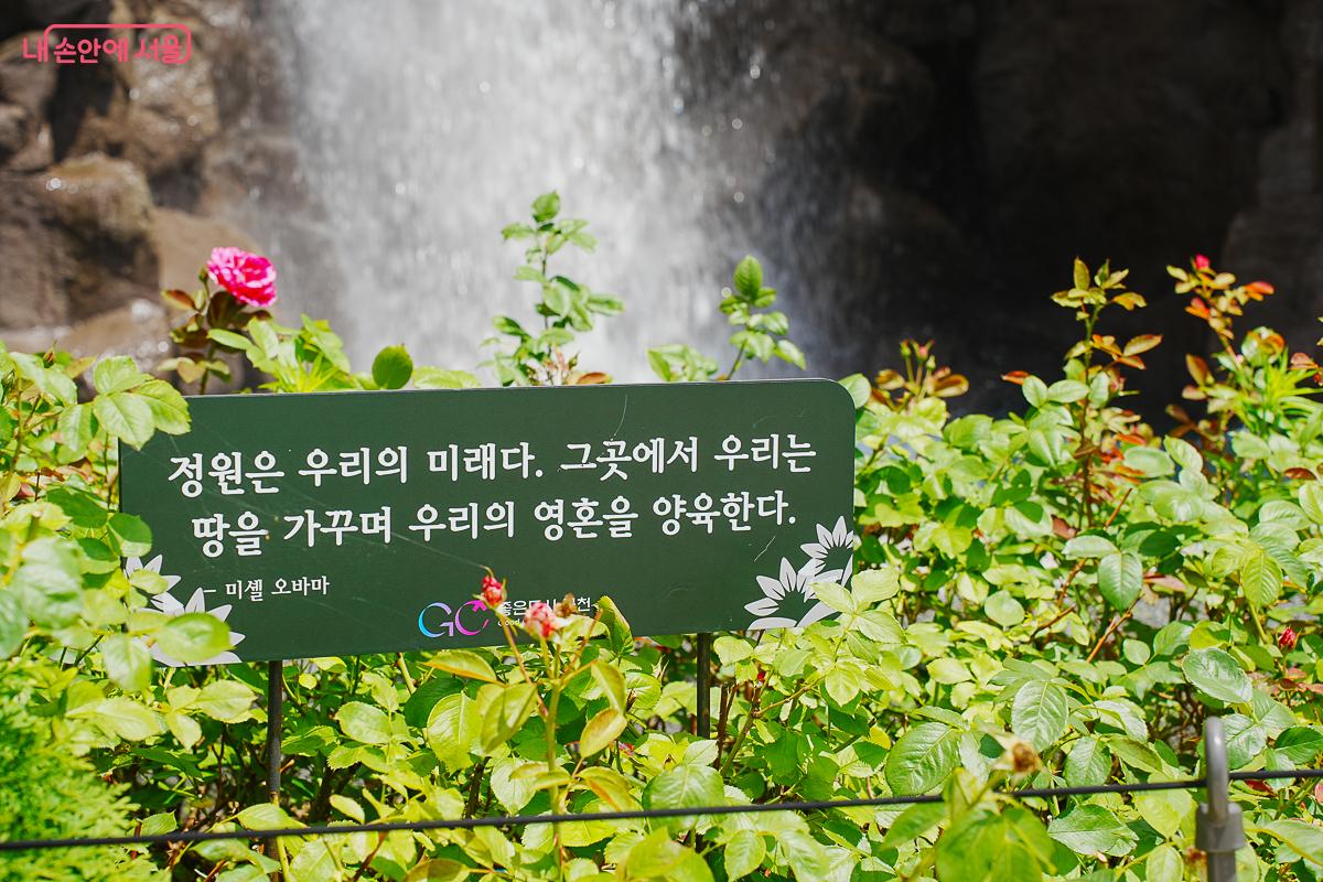 정원 화단 속 미셸 오바마 인용 문구 팻말, 배경에 폭포 낙하, 장미꽃, 금천구 로고