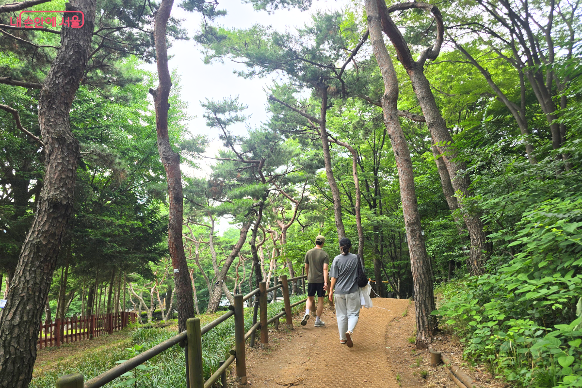 마포구 치매안심센터의 걷기행사에 참여하기 위해 근처 공원으로 산책을 다녀왔다. ©김선희