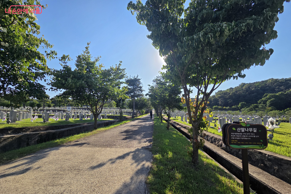 나라를 위해 희생한 분들이 잠들어 있는 곳을 밟고 다니는 것조차 죄송하다. ©장미화
