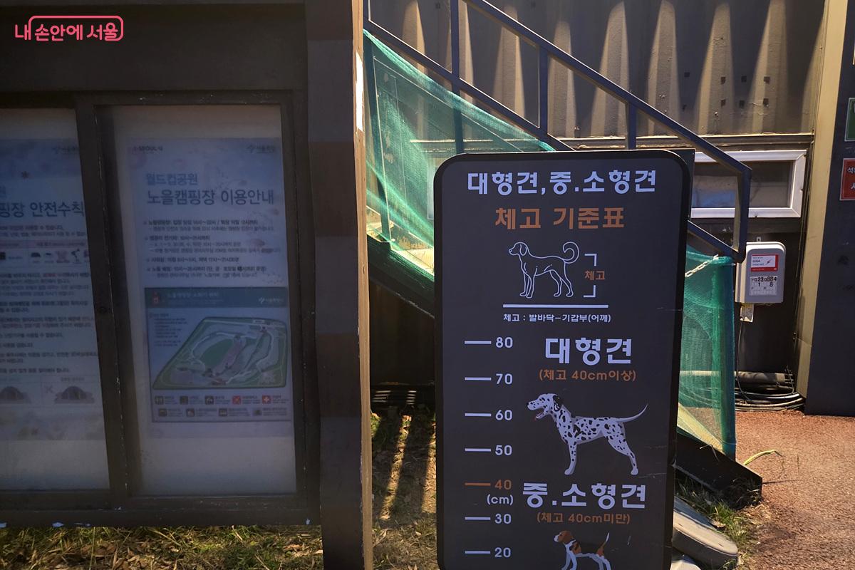 노을캠핑장 E구역은 반려견 동반이 가능하다. ©정민호