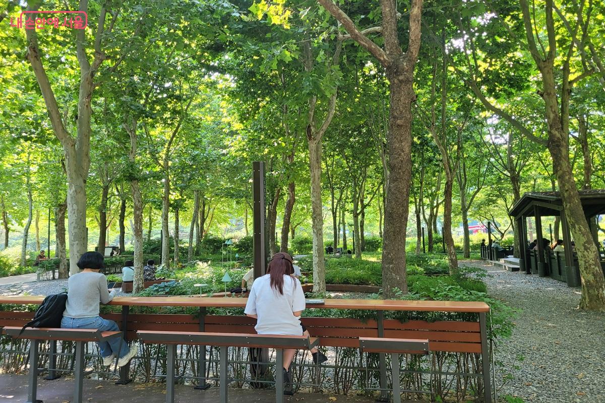 보라매공원 숲속 정원에서 책을 읽으며 휴식하는 시민들
