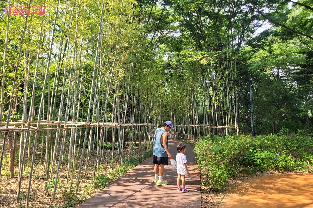 대나무가 우거진 죽림원 산책길 &copy;조연