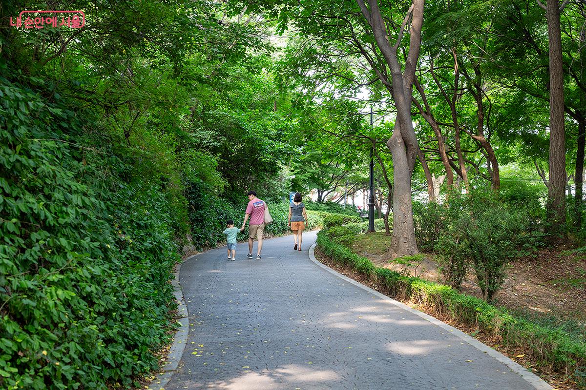 '남산 서머 페스티벌' 체험 프로그램이 진행되고 있는 영지원 가는 길 ©문청야